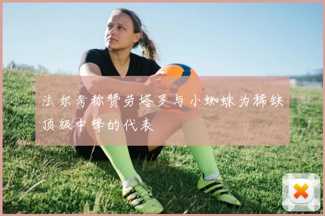法尔考称赞劳塔罗与小蜘蛛为稀缺顶级中锋的代表